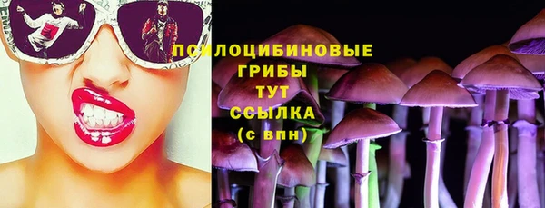 гашик Ельня