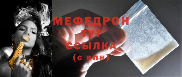 гашик Ельня