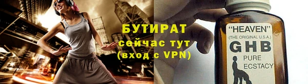 гашик Ельня