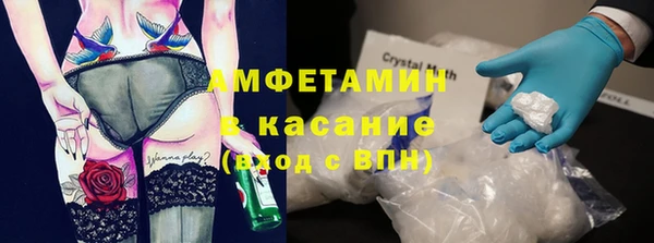 гашик Ельня