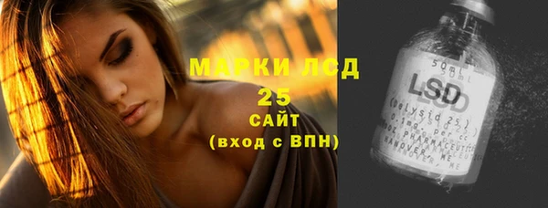 гашик Ельня