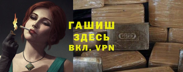 гашик Ельня
