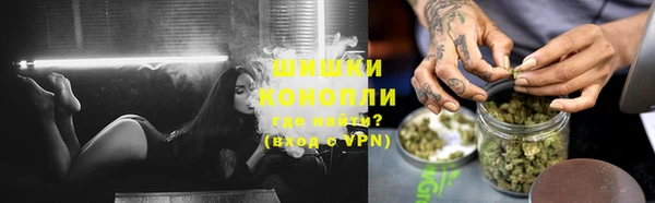 гашик Ельня