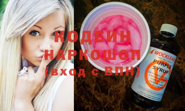 гашик Ельня