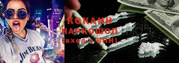 гашик Ельня