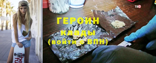 гашик Ельня