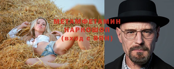 гашик Ельня