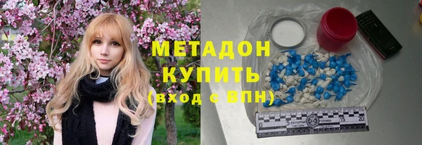 гашик Ельня