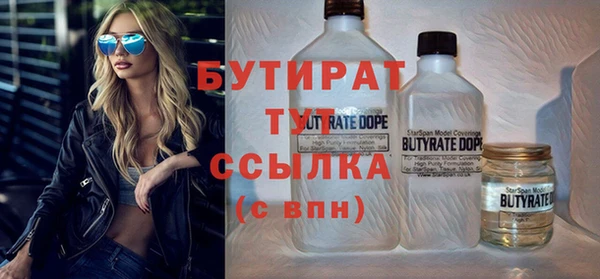 гашик Ельня