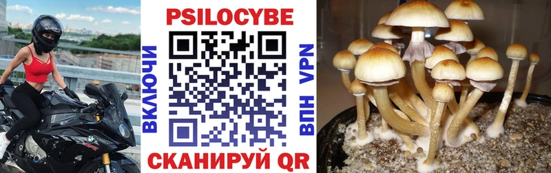 Галлюциногенные грибы MAGIC MUSHROOMS  Купить  Злынка 